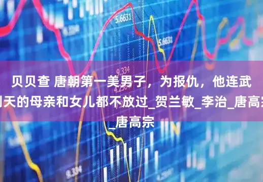 贝贝查 唐朝第一美男子，为报仇，他连武则天的母亲和女儿都不放过_贺兰敏_李治_唐高宗