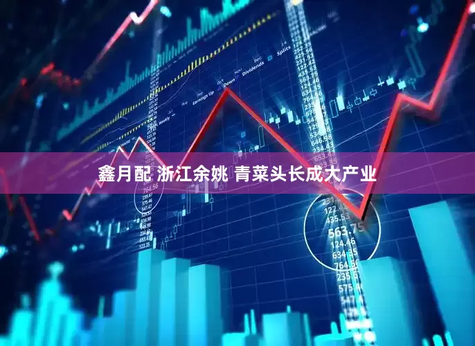 鑫月配 浙江余姚 青菜头长成大产业