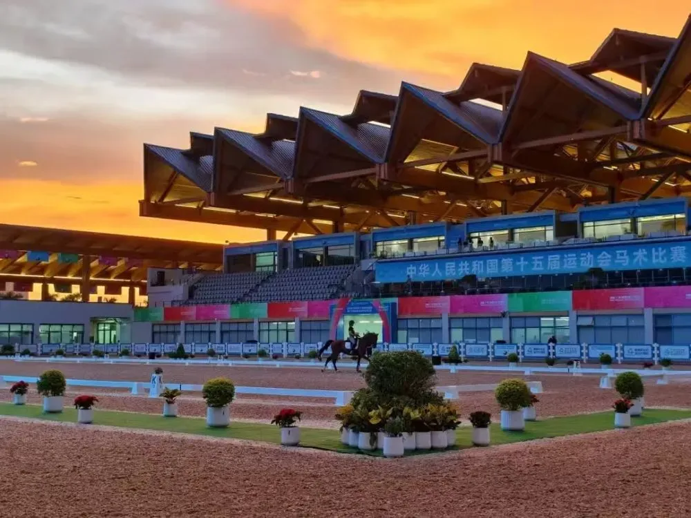 盈亚配资 拨款逾5亿，香港赛马会支援十五运会马术赛事！