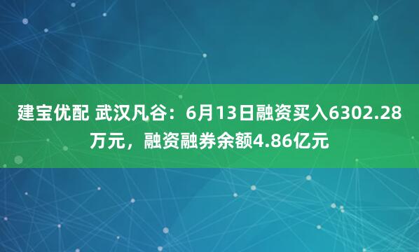 建宝优配 武汉凡谷：6月13日融资买入6302.28万元，融资融券余额4.86亿元