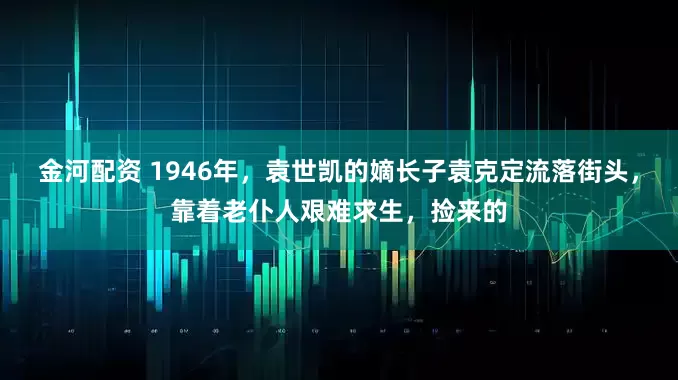 金河配资 1946年，袁世凯的嫡长子袁克定流落街头，靠着老仆人艰难求生，捡来的